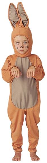 BROWN BUNNY COSTUME FOR BOYS