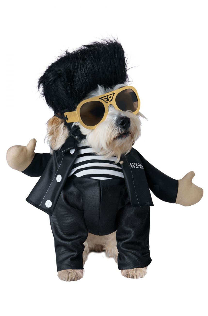 ELVIS JAILHOUSE ROCK COSTUME FOR PETS