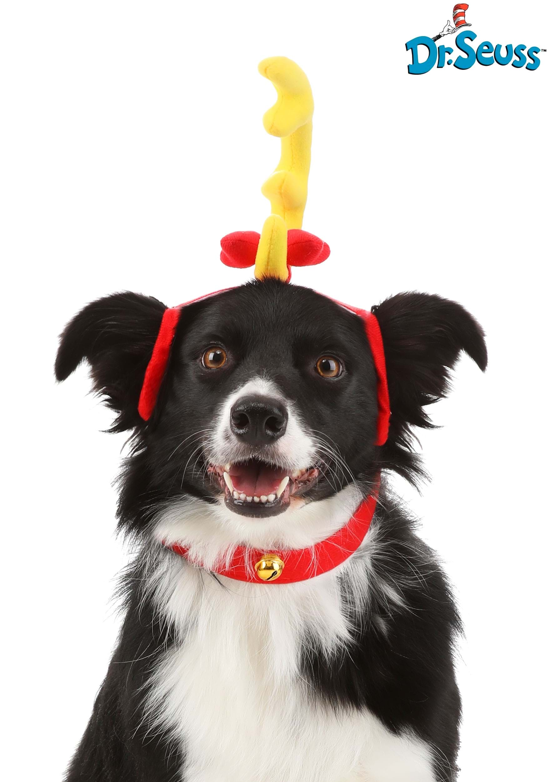 DR. SEUSS GRINCH'S MAX COSTUME FOR DOGS