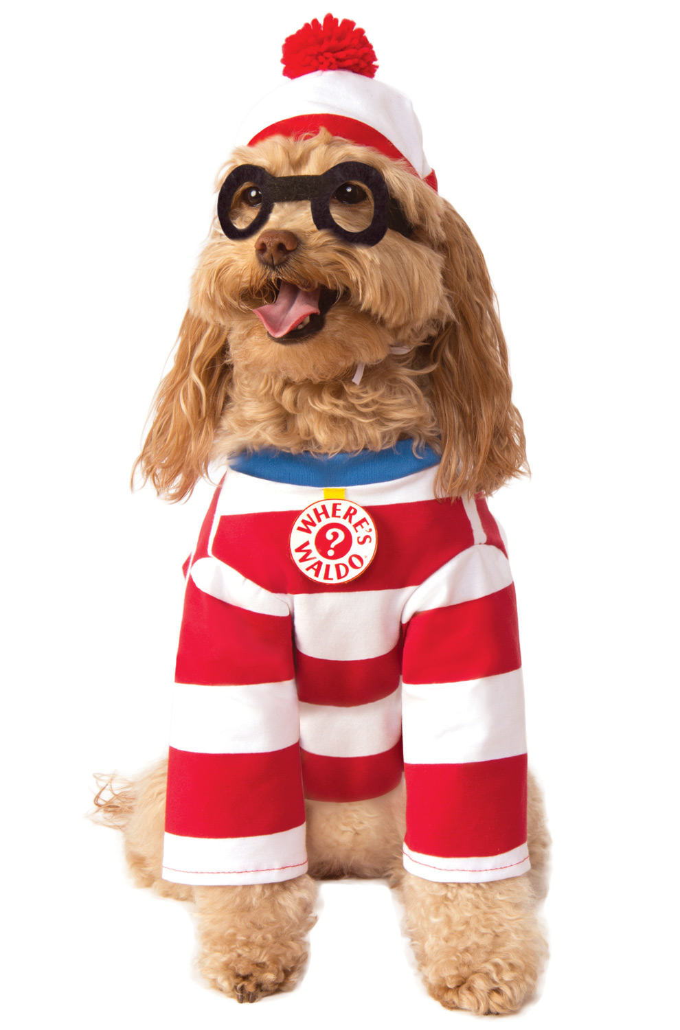 WHERE'S WALDO COSTUME FOR LARGE DOGS