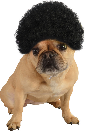 AFRO WIG FOR DOGS AND CATS