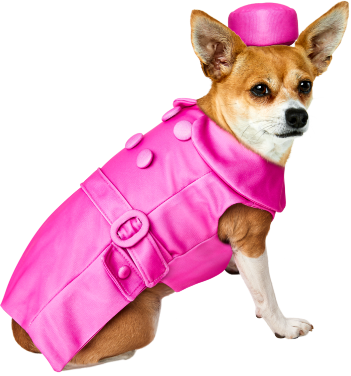 LEGALLY BLONDE BRUISER WOODS COSTUME FOR DOGS