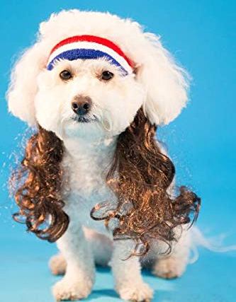 MULLET FOR YOUR MUTT COSTUME FOR DOGS OR CATS