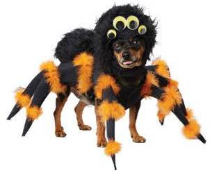 SPIDER PUP COSTUME FOR DOGS