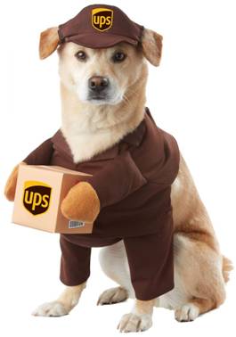 UPS PAL COSTUME FOR DOGS